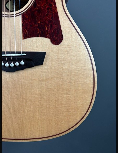 D'Angelico Premier Tammany Natural