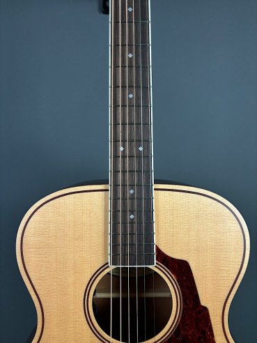 D'Angelico Premier Tammany Natural