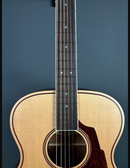 D'Angelico Premier Tammany Natural