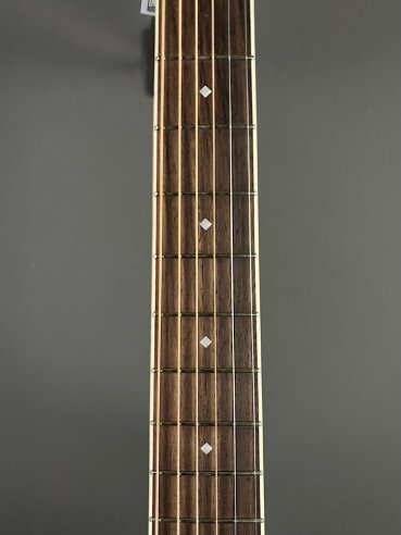 D'Angelico Premier Tammany Natural