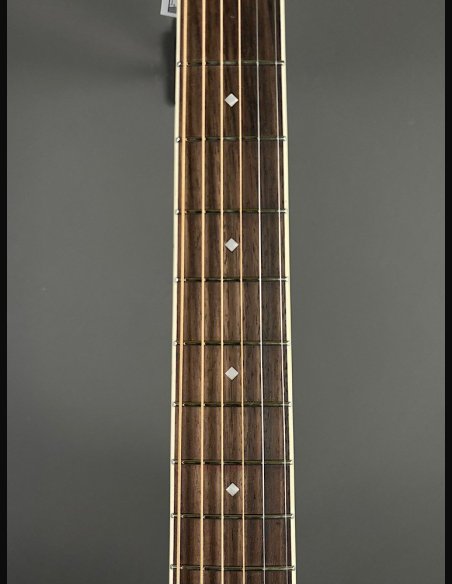 D'Angelico Premier Tammany Natural