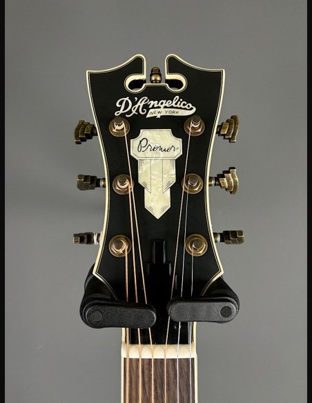 D'Angelico Premier Tammany Natural