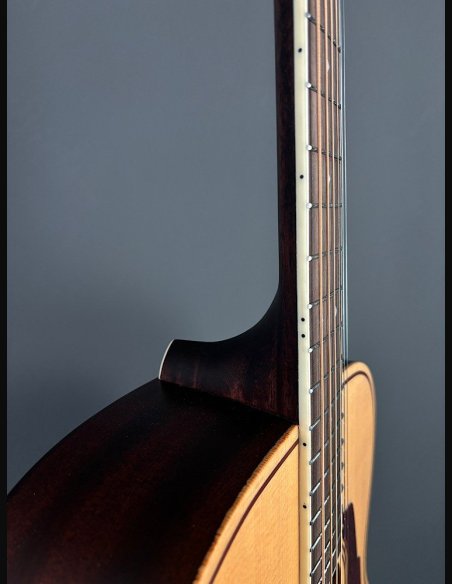 D'Angelico Premier Tammany Natural