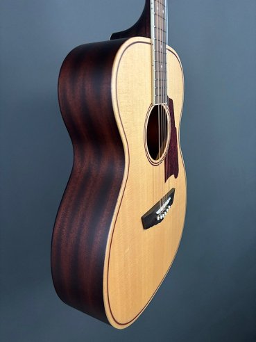 D'Angelico Premier Tammany Natural