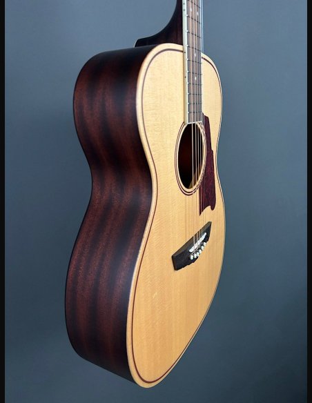 D'Angelico Premier Tammany Natural