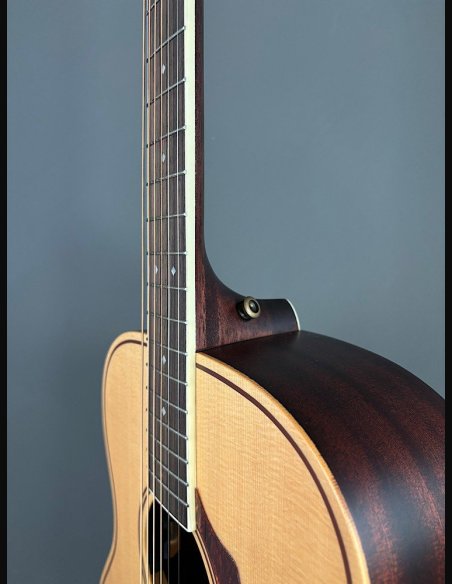D'Angelico Premier Tammany Natural