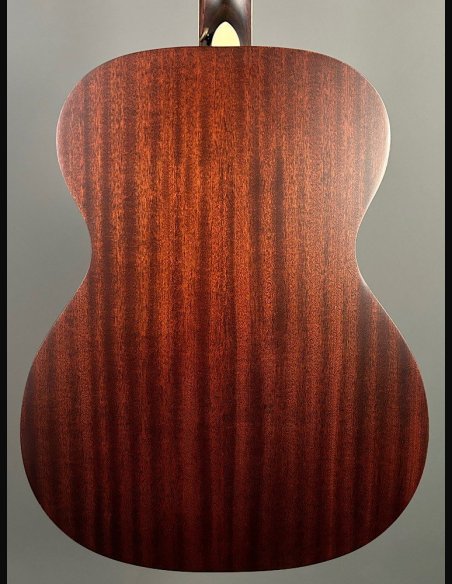 D'Angelico Premier Tammany Natural