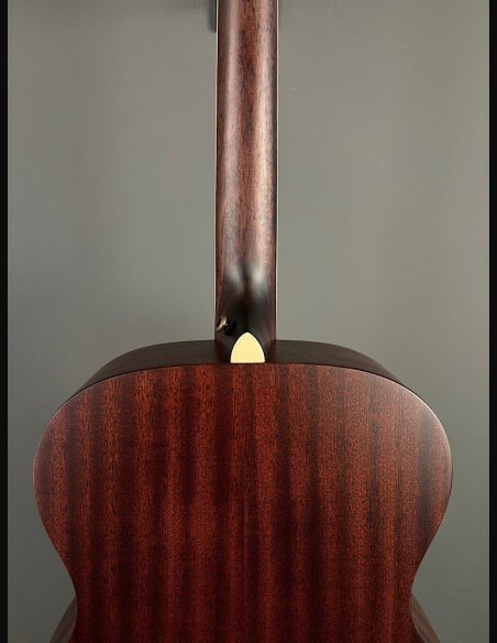 D'Angelico Premier Tammany Natural