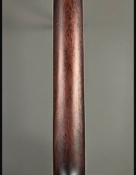 D'Angelico Premier Tammany Natural