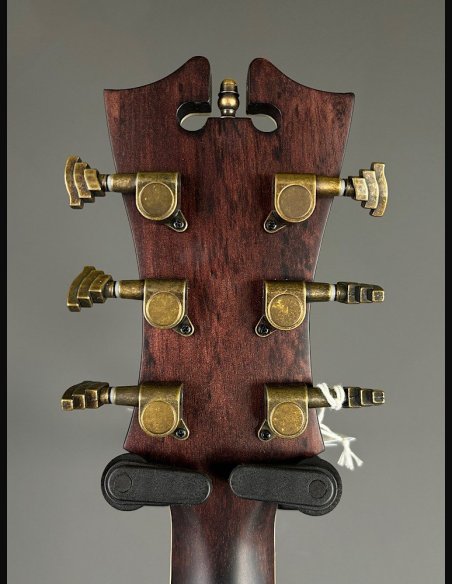 D'Angelico Premier Tammany Natural