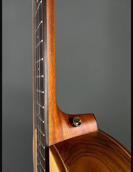 Crafter MINO Black Walnut Chitarra Folk Elettrificata w/Gig Bag