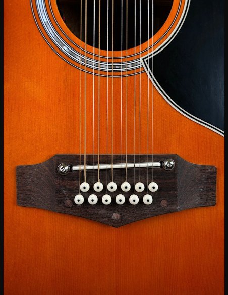 Eko Ranger XII VR Honey Burst EQ Chitarra Folk 12 Corde