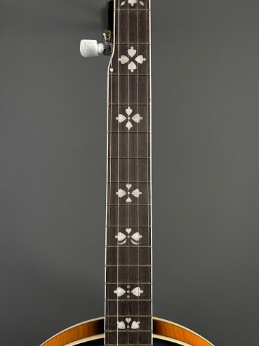 VGS Banjo Tennessee Premium 5C w/Case