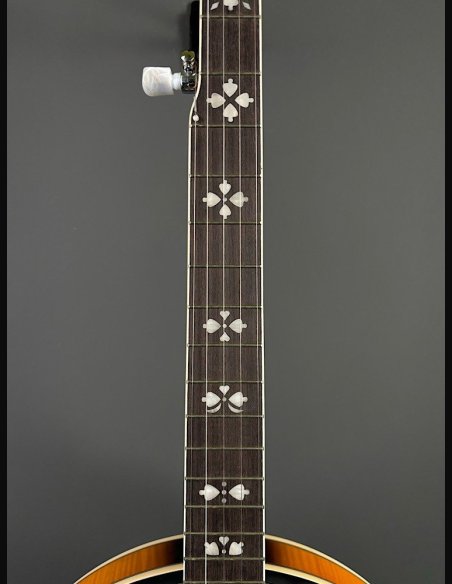 VGS Banjo Tennessee Premium 5C w/Case