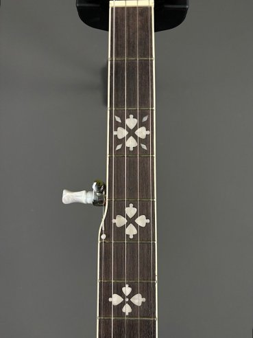 VGS Banjo Tennessee Premium 5C w/Case