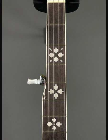 VGS Banjo Tennessee Premium 5C w/Case