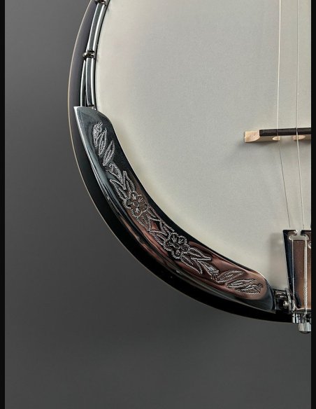 VGS Banjo Tennessee Premium 5C w/Case