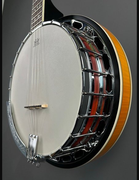 VGS Banjo Tennessee Premium 5C w/Case