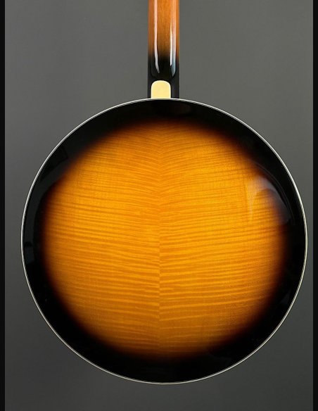 VGS Banjo Tennessee Premium 5C w/Case