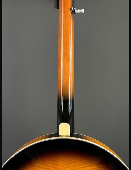 VGS Banjo Tennessee Premium 5C w/Case