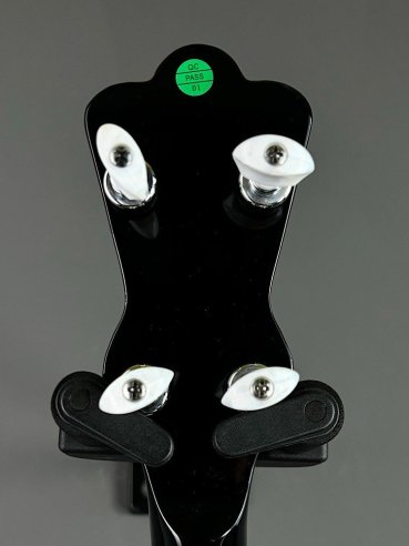 VGS Banjo Tennessee Premium 5C w/Case