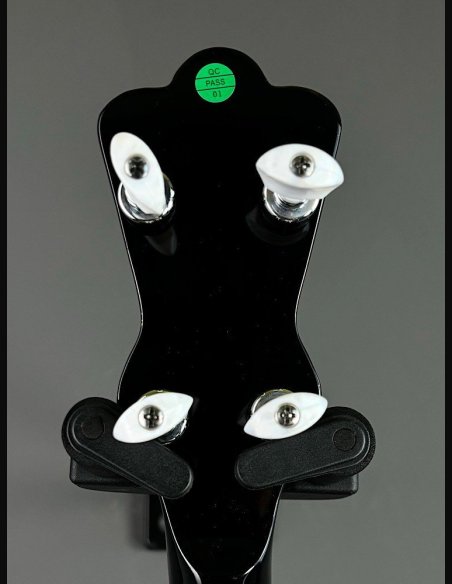 VGS Banjo Tennessee Premium 5C w/Case