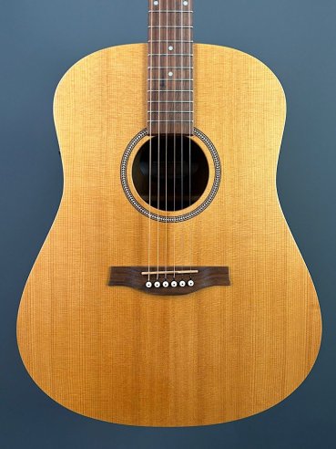 Seagull Walnut Dreadnought Fishman Isyst