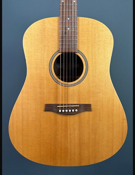 Seagull Walnut Dreadnought Fishman Isyst