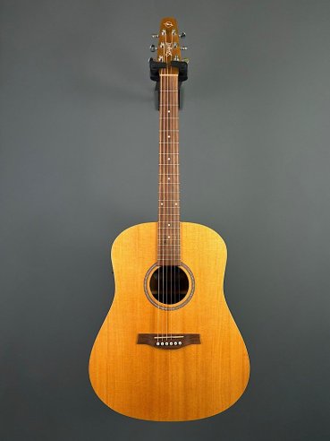 Seagull Walnut Dreadnought Fishman Isyst