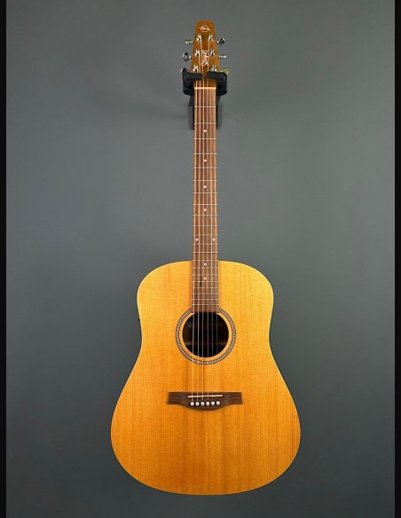 Seagull Walnut Dreadnought Fishman Isyst