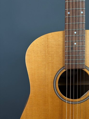 Seagull Walnut Dreadnought Fishman Isyst