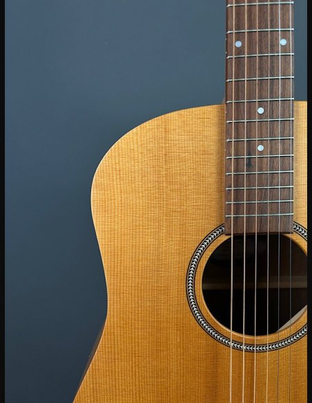 Seagull Walnut Dreadnought Fishman Isyst