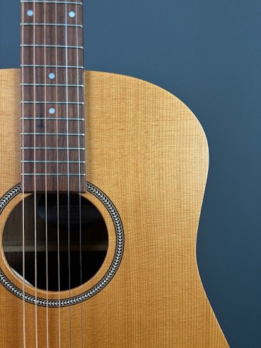 Seagull Walnut Dreadnought Fishman Isyst