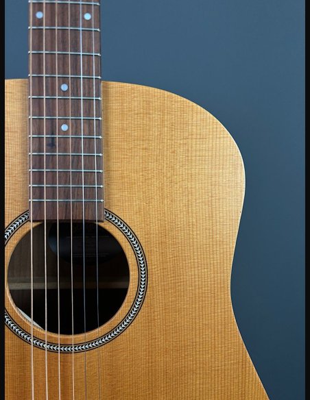 Seagull Walnut Dreadnought Fishman Isyst