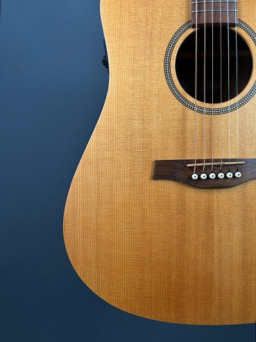 Seagull Walnut Dreadnought Fishman Isyst