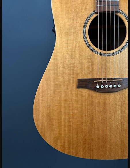 Seagull Walnut Dreadnought Fishman Isyst