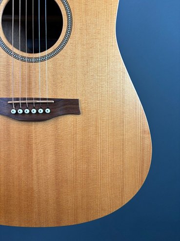 Seagull Walnut Dreadnought Fishman Isyst