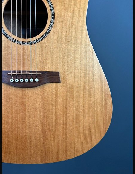 Seagull Walnut Dreadnought Fishman Isyst