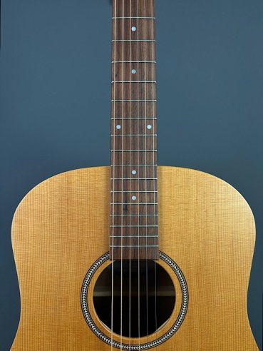 Seagull Walnut Dreadnought Fishman Isyst