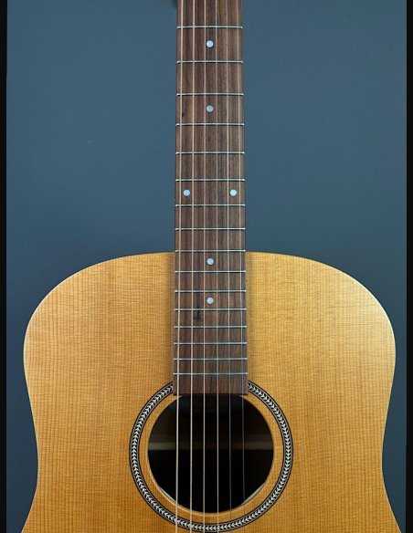 Seagull Walnut Dreadnought Fishman Isyst