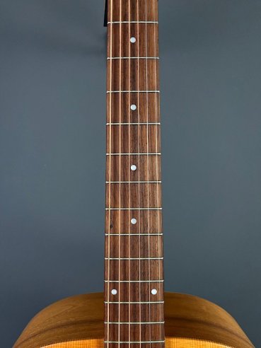 Seagull Walnut Dreadnought Fishman Isyst