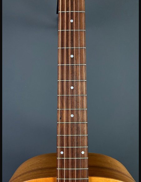 Seagull Walnut Dreadnought Fishman Isyst