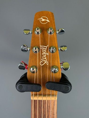 Seagull Walnut Dreadnought Fishman Isyst