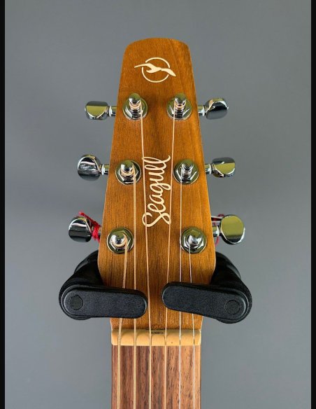 Seagull Walnut Dreadnought Fishman Isyst