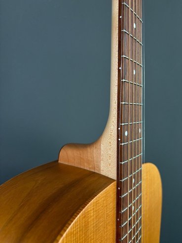 Seagull Walnut Dreadnought Fishman Isyst