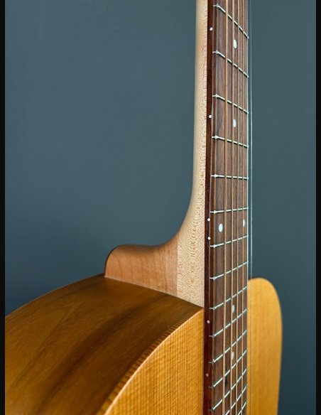 Seagull Walnut Dreadnought Fishman Isyst