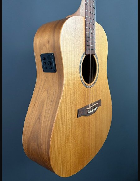 Seagull Walnut Dreadnought Fishman Isyst