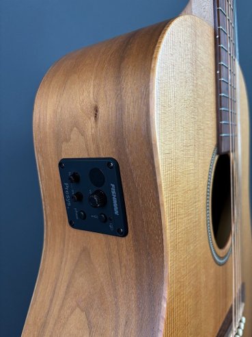 Seagull Walnut Dreadnought Fishman Isyst