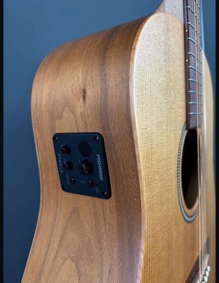 Seagull Walnut Dreadnought Fishman Isyst