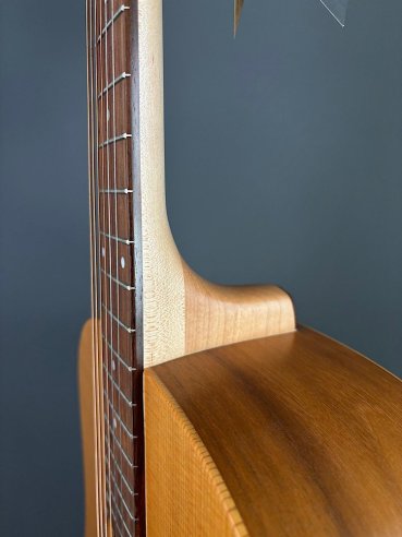 Seagull Walnut Dreadnought Fishman Isyst